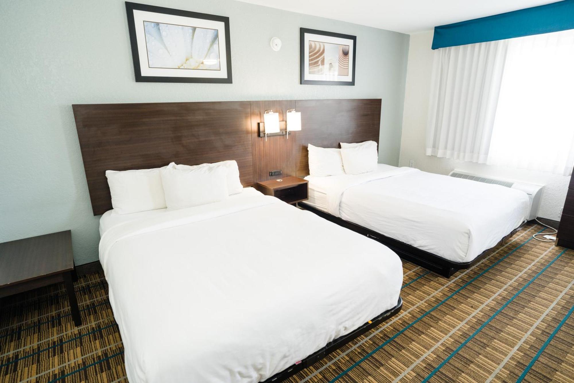 אלקואה Mainstay Suites Knoxville Airport מראה חיצוני תמונה